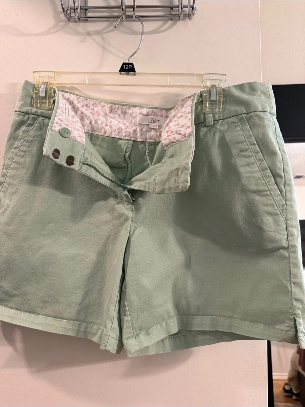 LOFT Light Mint Green Chino Shorts